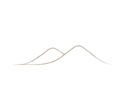 lasulje izdelane v sloveniji